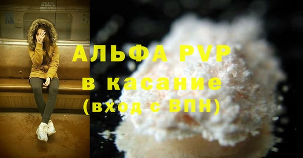 гидра Карпинск