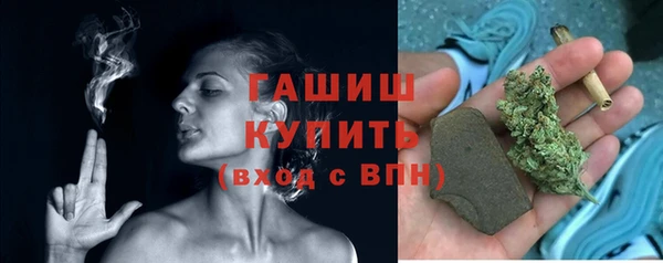 стафф Касимов