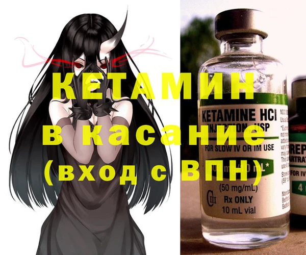 стафф Касимов