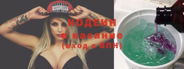 гидра Карпинск