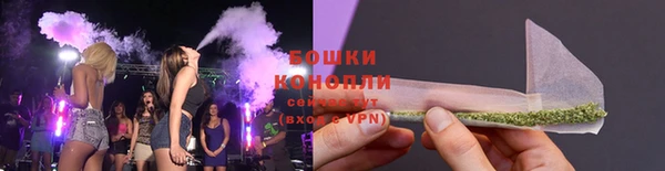 стафф Касимов