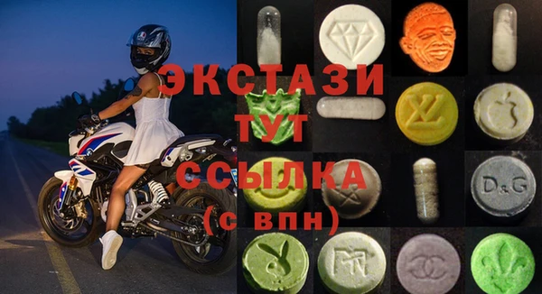 стафф Касимов