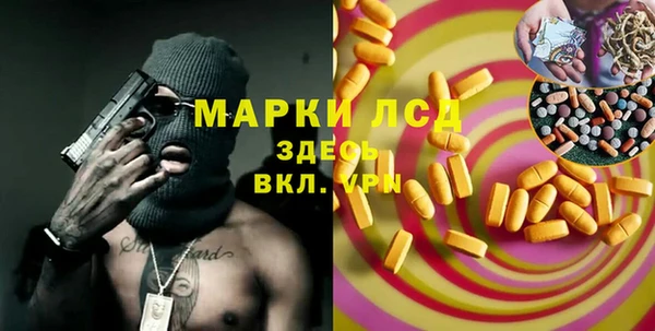 стафф Касимов