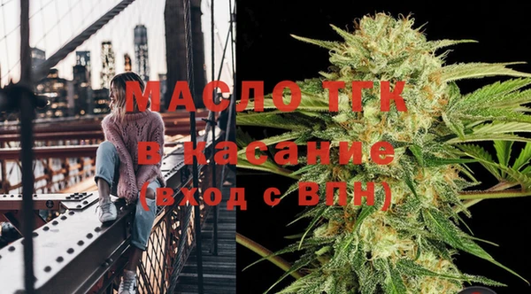 стафф Касимов