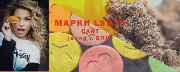 гидра Карпинск