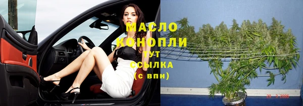 стафф Касимов