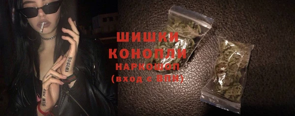 гидра Карпинск