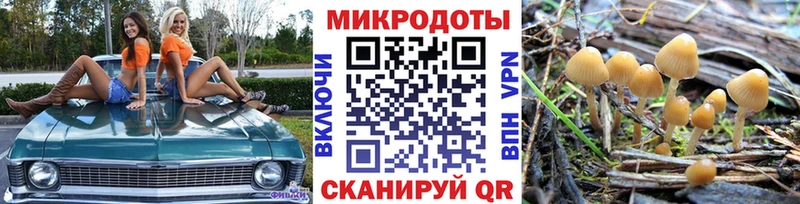 Галлюциногенные грибы ЛСД Купить где Дагестанские Огни