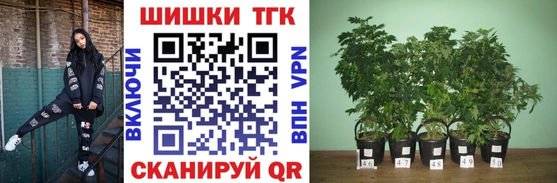Канабис индика Купить где Дагестанские Огни